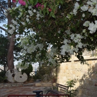 pirinas_tou_xoriou_2